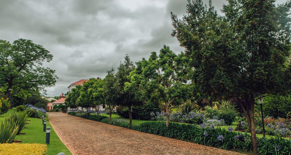 Designed landscape with structured planting