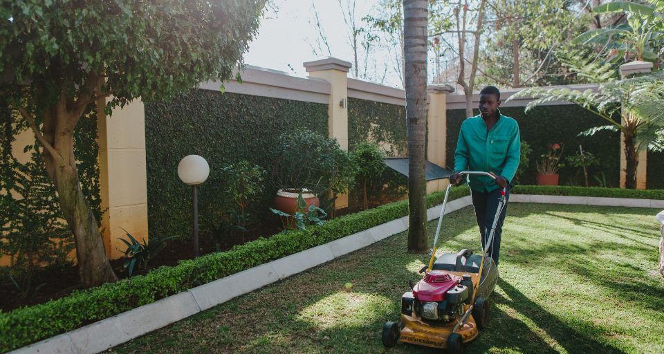 Freshly laid instant lawn