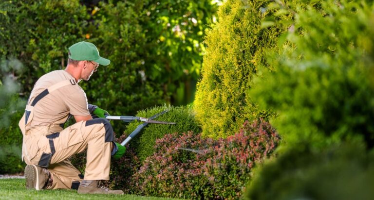 Winter garden maintenance in Pretoria